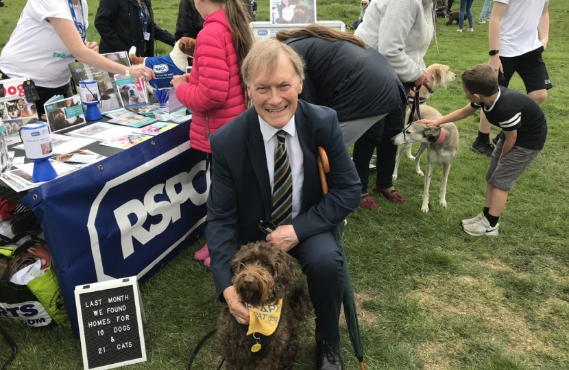 Belfairs Dog Show